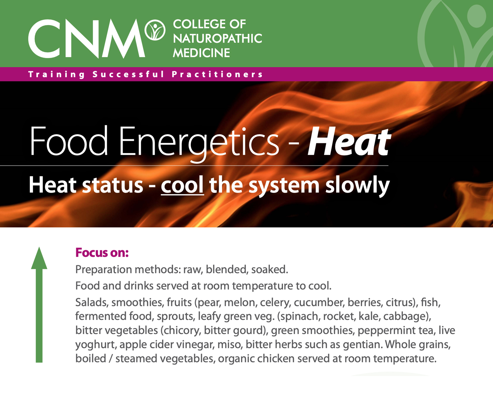 The Energy of Foods in Chinese Medicine CNM College of Naturopathic