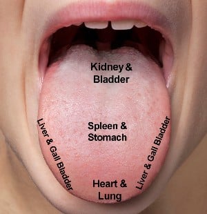 Tongue Diagnosis Map Organs - Year 1 of 3 - Acupuncture Course with CNM